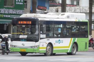 粤R97667@306.jpg