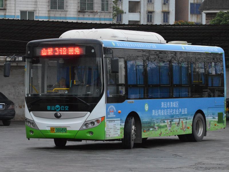 文件:粤R08849D@318.jpg