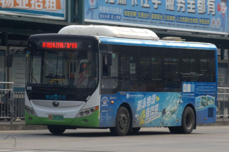 文件:粤R08739D@219B.jpg