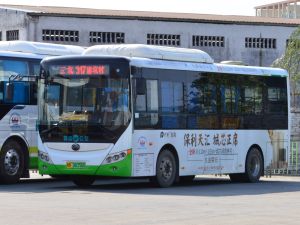 粤R08356D@317.jpg