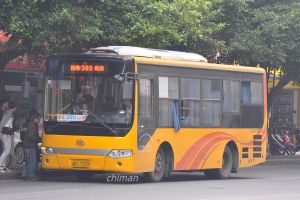 粤RL7229 305路.jpg