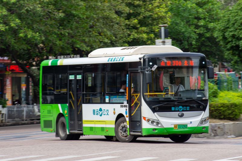文件:粤R01526D@306.jpg