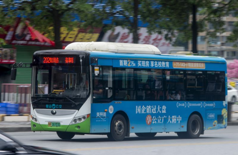文件:粤R08703D@202短.jpg