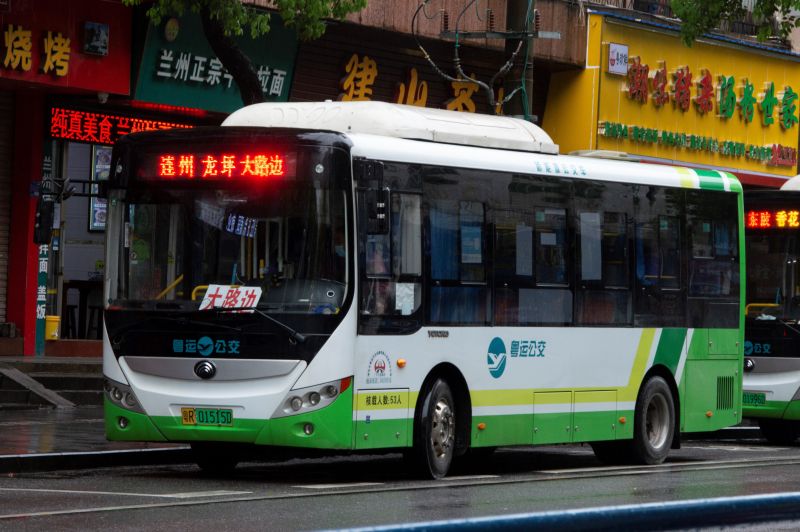文件:粤R01515D@大路边线.jpg