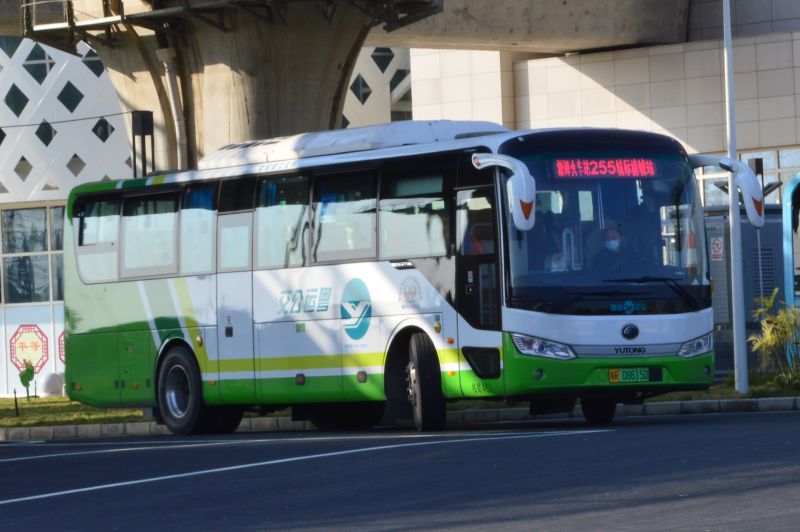 文件:粤R08615D@255.jpg