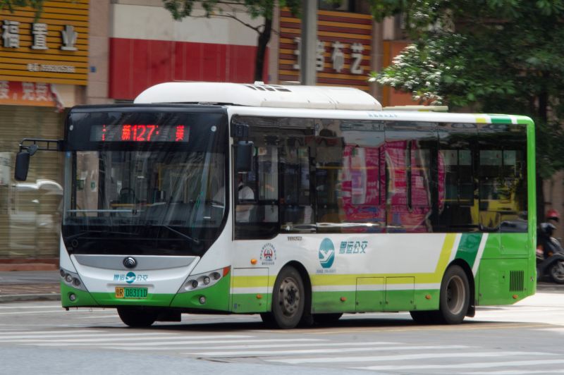 文件:粤R08311D@127.jpg