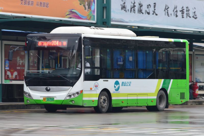 文件:粤R08358D@204.jpg