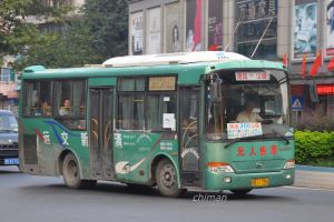 粤RL1796 305路.jpg