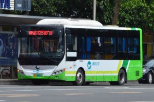 粤R08961D@125.jpg