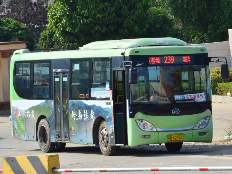 文件:粤R42931@239.jpg
