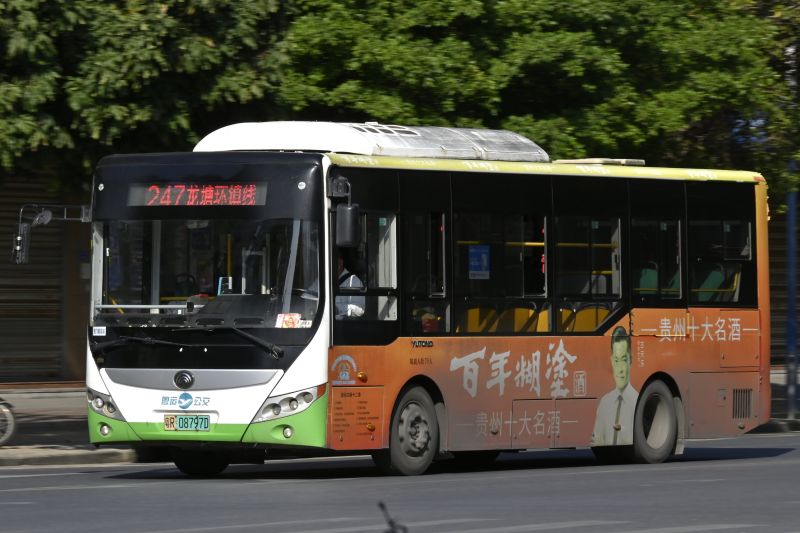 文件:粤R08797D@247.jpg