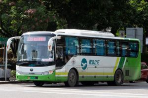 粤R08335D@239.jpg