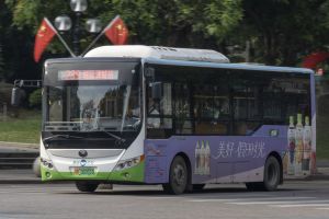 粤R08261D@239.jpg