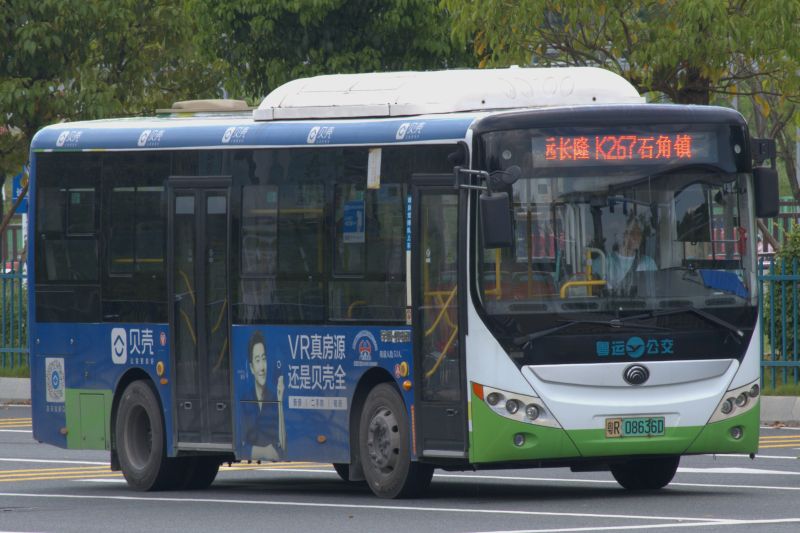 文件:粤R08636D@267.jpg