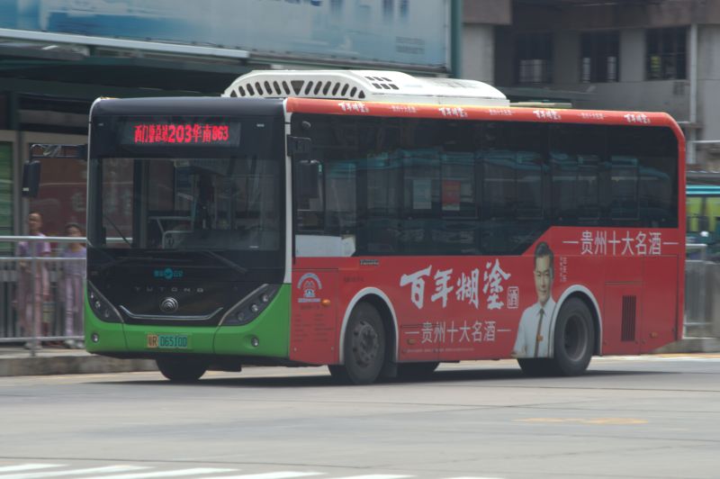 文件:粤R06510D@203.jpg