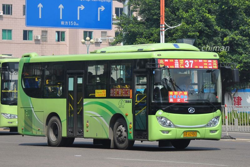 文件:粤R42980 37路.jpg