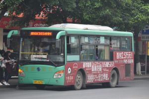 粤RL4678 305路.jpg