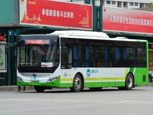粤R08312D@305.jpg